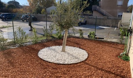 Création de jardin sur mesure à L'Isle-sur-la-Sorgue