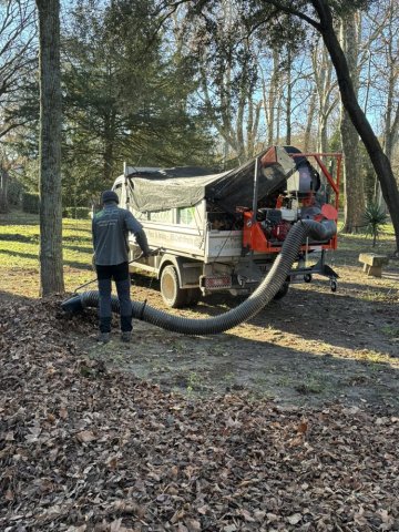 Opération d'aspiration des feuilles mortes dans un parc public à Carpentras