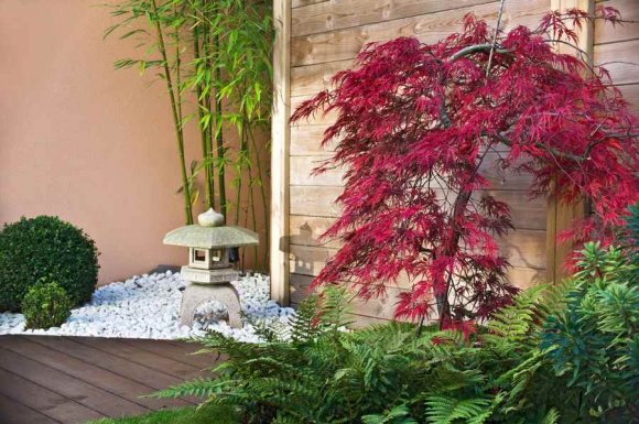 Création d’un jardin zen japonais chez un particulier Carpentras