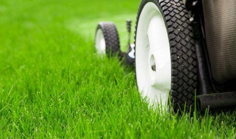 Les Jardins d'Axel Carpentras - Entreprise d’entretien d’espaces verts