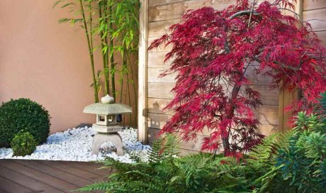 Création d’un jardin zen japonais chez un particulier Carpentras